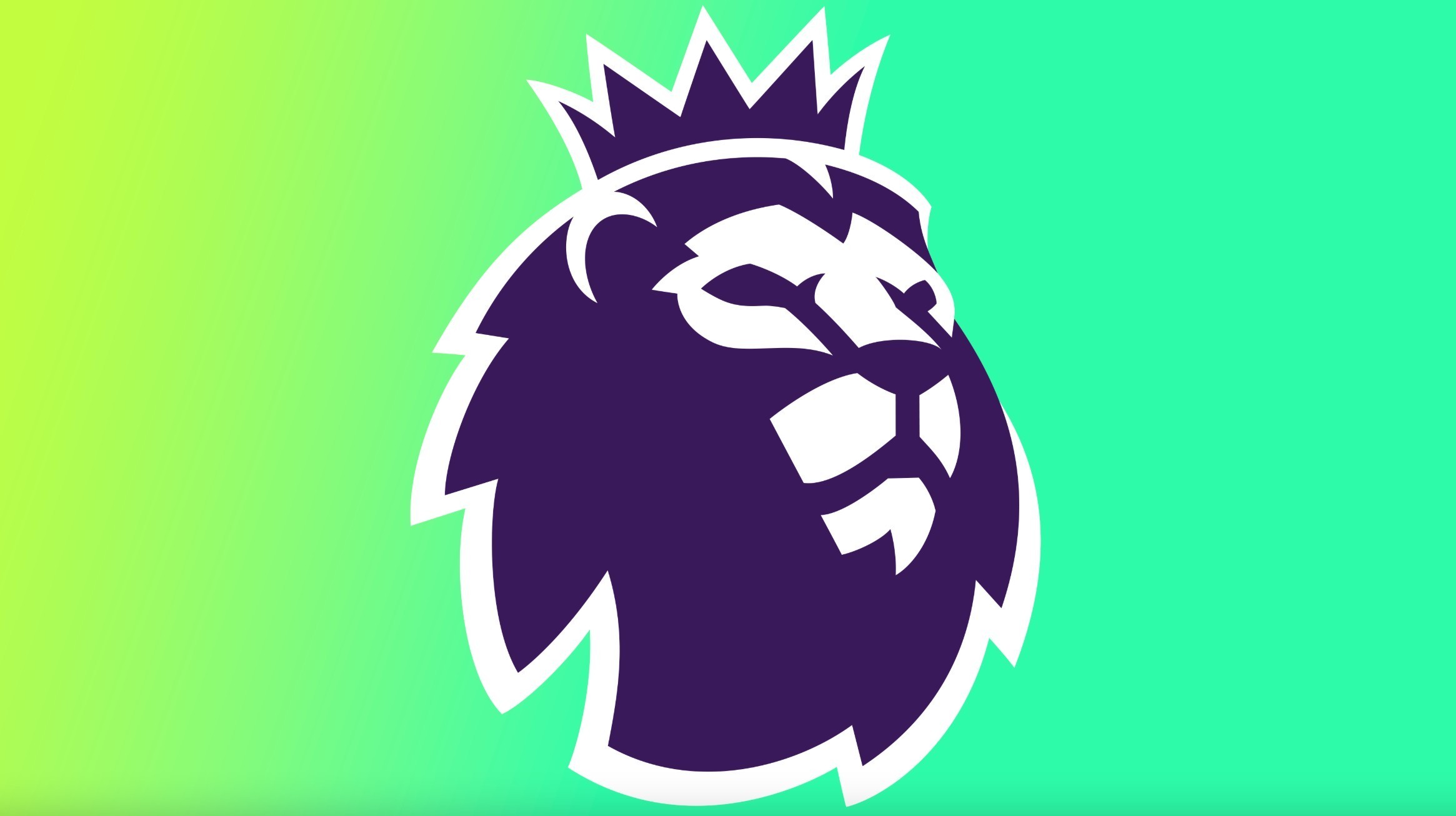 高低并不是 高低并不是